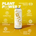 Gold Lotus Plant Power Drink™ (zero sugar)