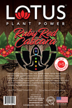 Ruby Red Lotus Cascara Plant Power Concentrate
