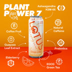 Orange Lotus Plant Power Drink™ (zero sugar)