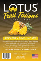 Pineapple Paradise Lotus Fruit Fusion Concentrate