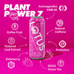 Pink Lotus Plant Power Drink™ (cane sugar)