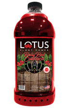 Ruby Red Lotus Cascara Plant Power Concentrate